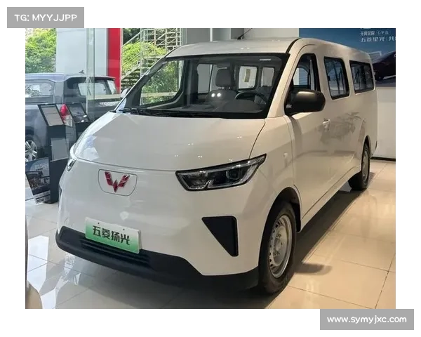 五菱推出宏光小卡EV,轴距3050mm,充电能跑296km,拉货成本低 五菱推出宏光小卡EV,轴距3050mm,充电能跑296km,拉货成本低